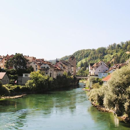 Business I Family Apartment I 1-4 Personen - Aare Blick, Nahe Altstadt I Beamer - 99" Leinwand I Terrassen Lounge Und Parkplatz Brugg  Exteriör bild