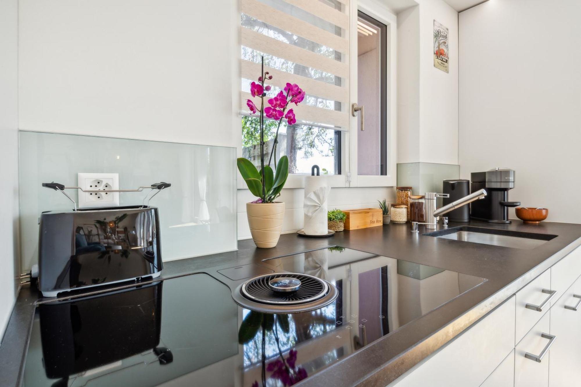 Business I Family Apartment I 1-4 Personen - Aare Blick, Nahe Altstadt I Beamer - 99" Leinwand I Terrassen Lounge Und Parkplatz Brugg  Exteriör bild